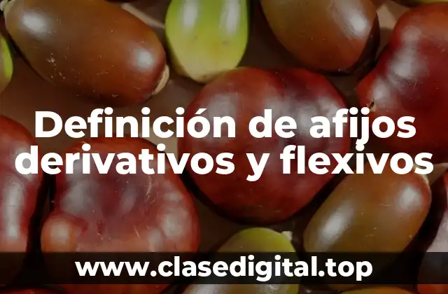 Definición de afijos derivativos y flexivos