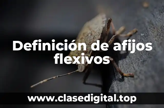 Definición de afijos flexivos