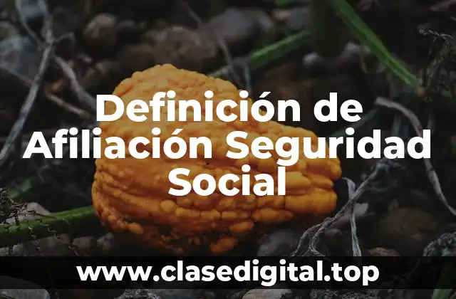 Definición de Afiliación Seguridad Social