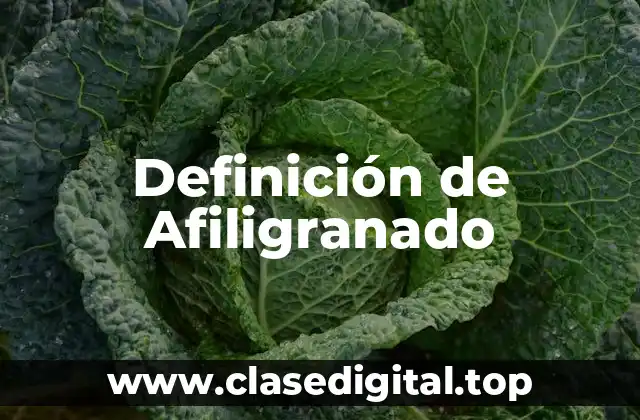 Definición técnica de Afiligranado