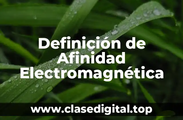 Definición de Afinidad Electromagnética