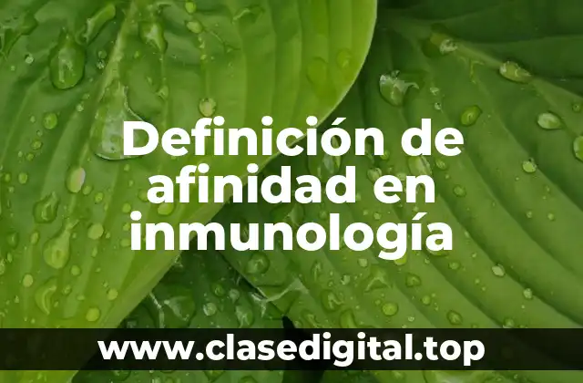 Definición de afinidad en inmunología