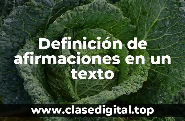 Definición de afirmaciones en un texto