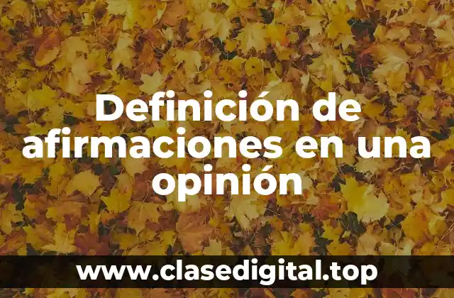Definición de afirmaciones en una opinión