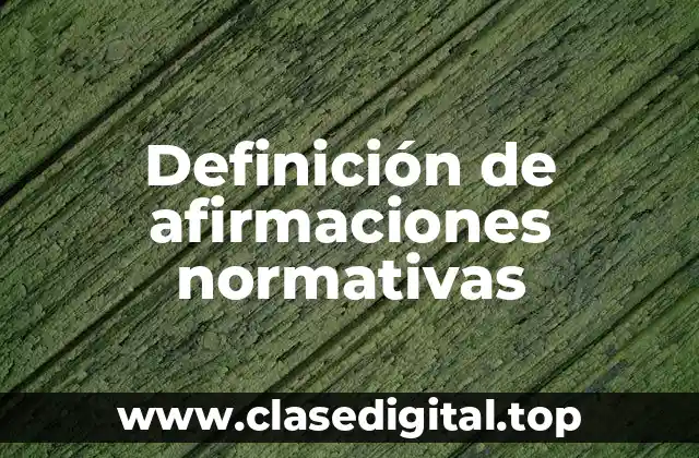 Ejemplos de afirmaciones normativas
