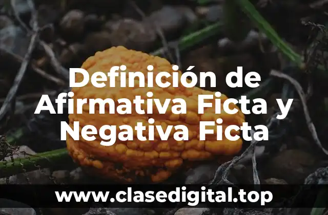 Definición de Afirmativa Ficta y Negativa Ficta