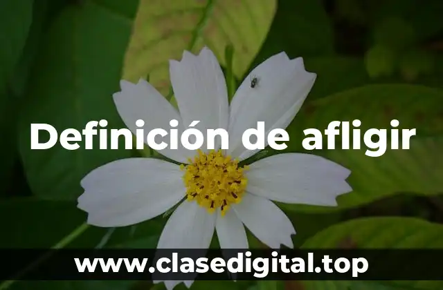 Definición de afligir
