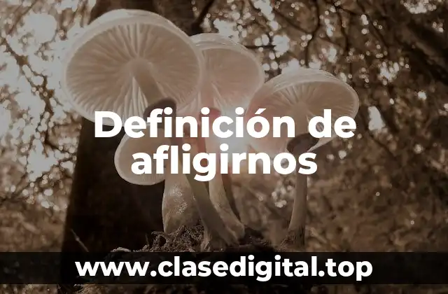 Definición de afligirnos