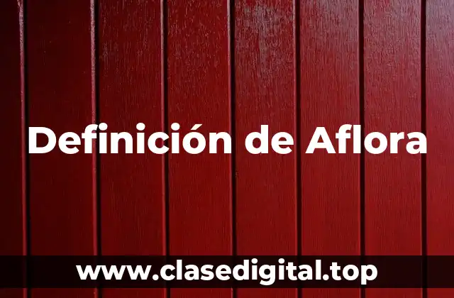 Definición de Aflora