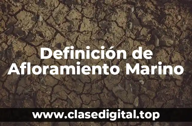 Definición de Afloramiento Marino