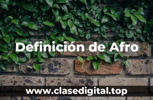 Definición de Afro
