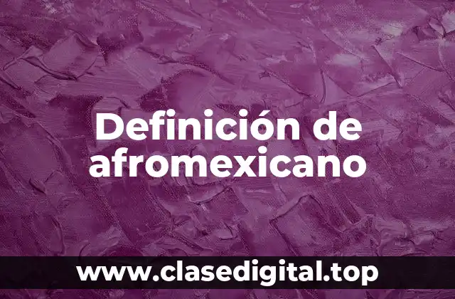 Definición de afromexicano