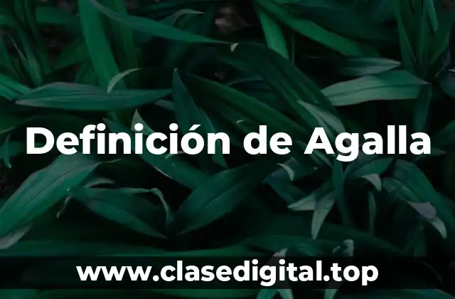 Definición técnica de Agalla
