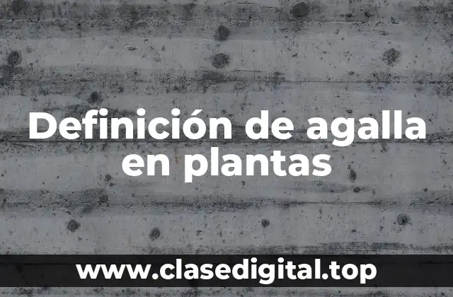 Definición de agalla en plantas