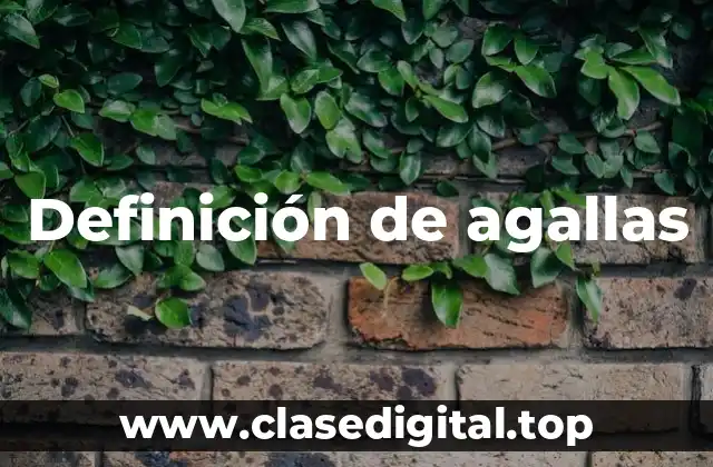 Definición de agallas