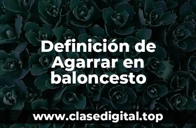 Definición de Agarrar en baloncesto