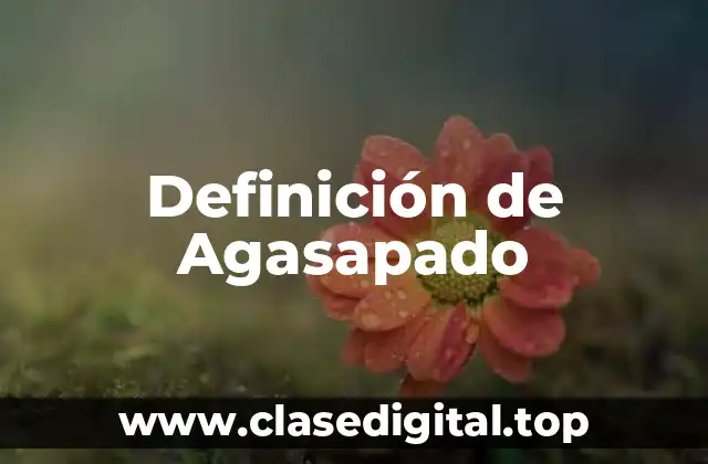 Definición de Agasapado