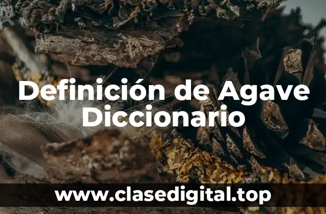Definición de Agave Diccionario