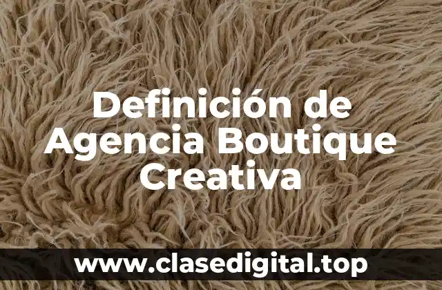 Definición de Agencia Boutique Creativa