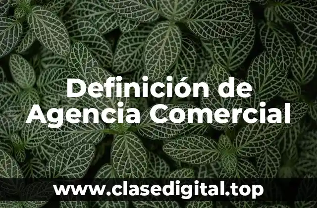 Definición de Agencia Comercial