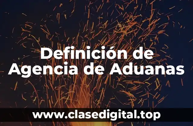 Definición de Agencia de Aduanas