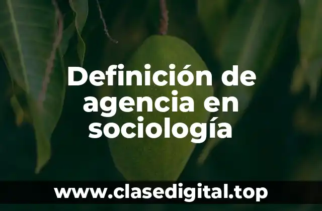 Definición de agencia en sociología