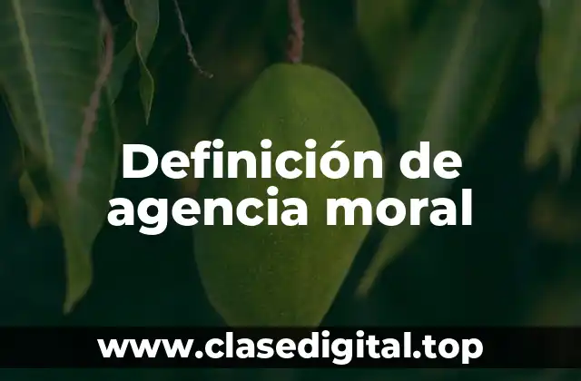 Definición de agencia moral