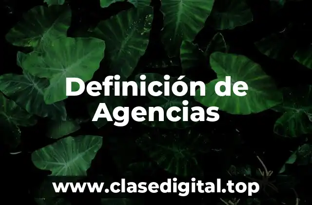 Definición de Agencias
