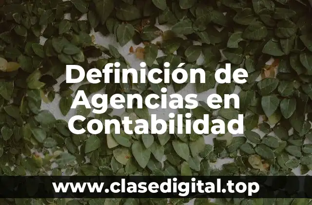 Definición de Agencias en Contabilidad