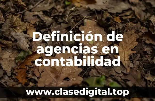 Ejemplos de agencias en contabilidad