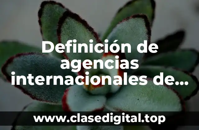 Definición de agencias internacionales de desarrollo