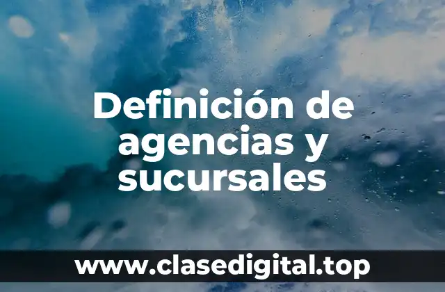 Definición de agencias y sucursales