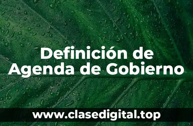 Definición de Agenda de Gobierno