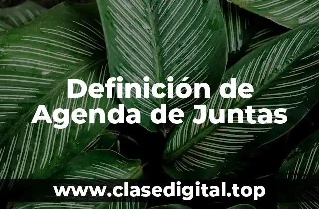 Ejemplos de Agenda de Juntas