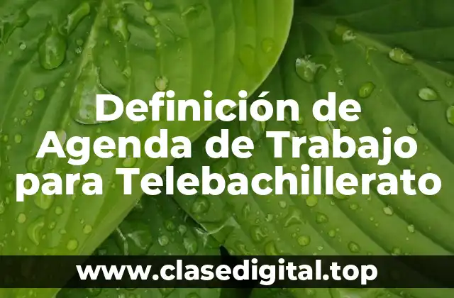 Definición de Agenda de Trabajo para Telebachillerato