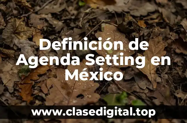 Ejemplos de Agenda Setting