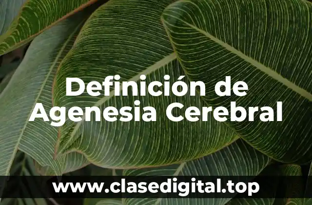 Definición técnica de Agenesia Cerebral