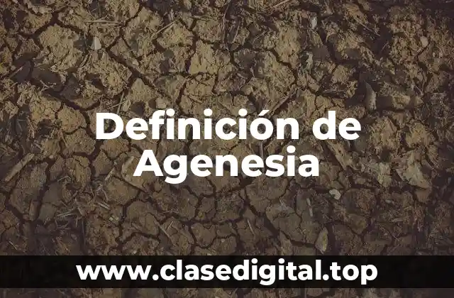 Definición de Agenesia