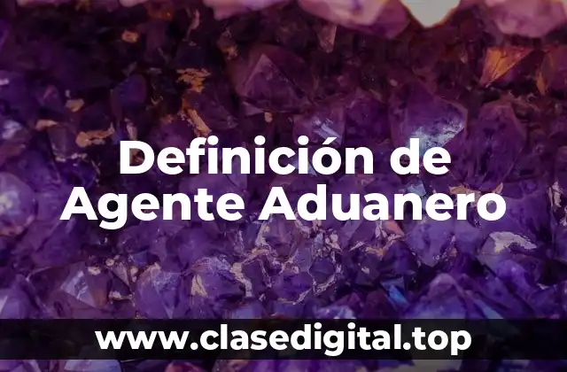 Definición de Agente Aduanero