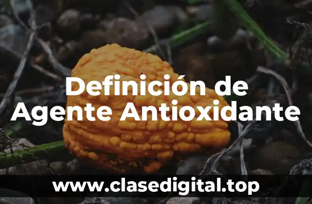Definición Técnica de Agente Antioxidante