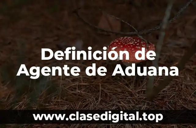 Definición técnica de Agente de Aduana