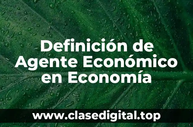 Definición de Agente Económico en Economía