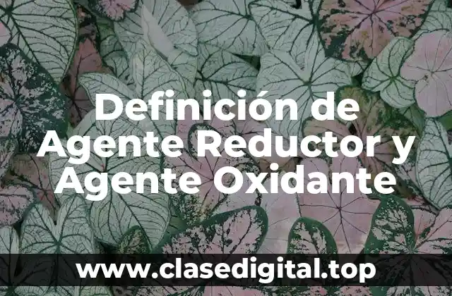 Definición de Agente Reductor y Agente Oxidante
