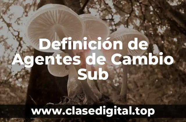 Definición de Agentes de Cambio Sub