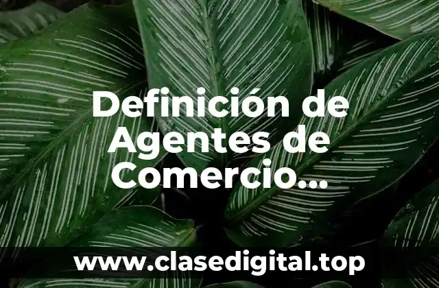 Definición de Agentes de Comercio Electrónico