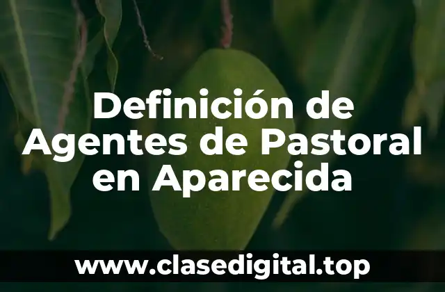Definición de Agentes de Pastoral en Aparecida
