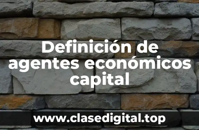 Definición de agentes económicos capital