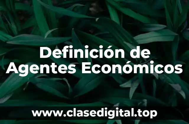 Definición de Agentes Económicos