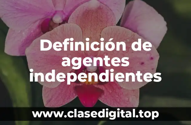 Definición de agentes independientes