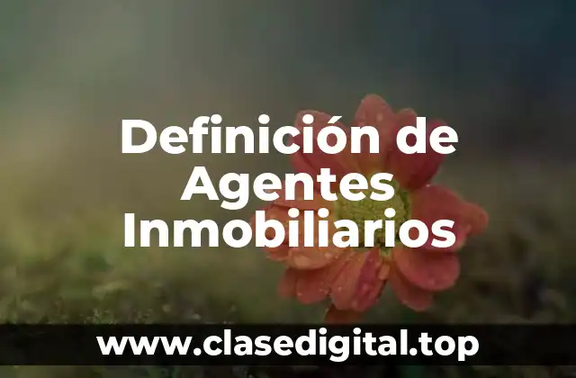 Definición de Agentes Inmobiliarios
